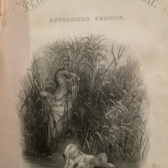 1881 self interpreting pictorial family Bible containing the old/ new testaments - Picture 4 of 8